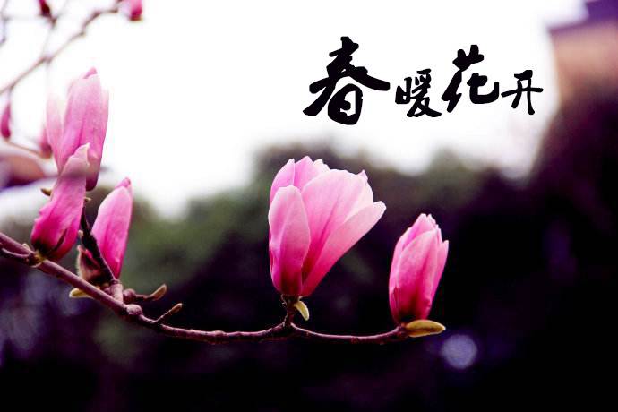 春暖花開 教你春季如何做汽車保養(yǎng)！