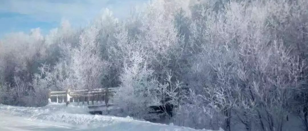 奕行記|奕路向北，駛向雪國(guó)阿爾山
